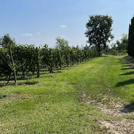 Apartmán Gabriele Desenzano del Garda
