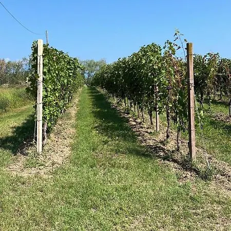 Apartamento Casa Dolce Casa Country House Desenzano del Garda